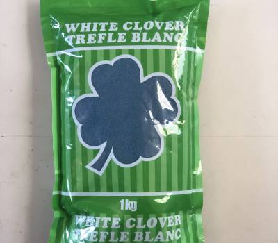 White Clover