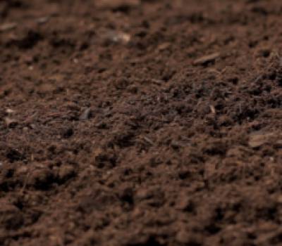 Horticole Soil