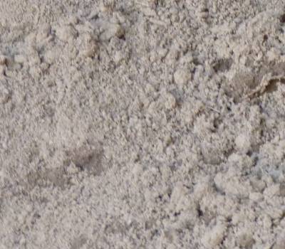 Brune (Top Soil)